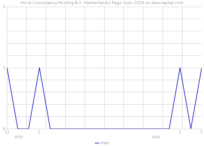 Horst Consultancy Holding B.V. (Netherlands) Page visits 2024 