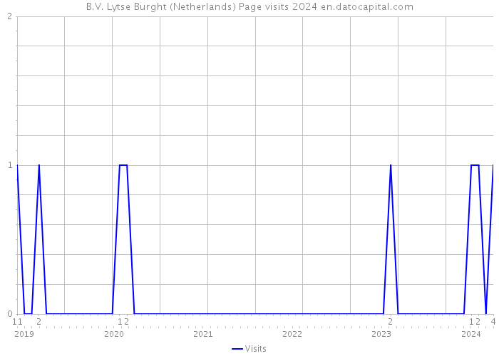 B.V. Lytse Burght (Netherlands) Page visits 2024 