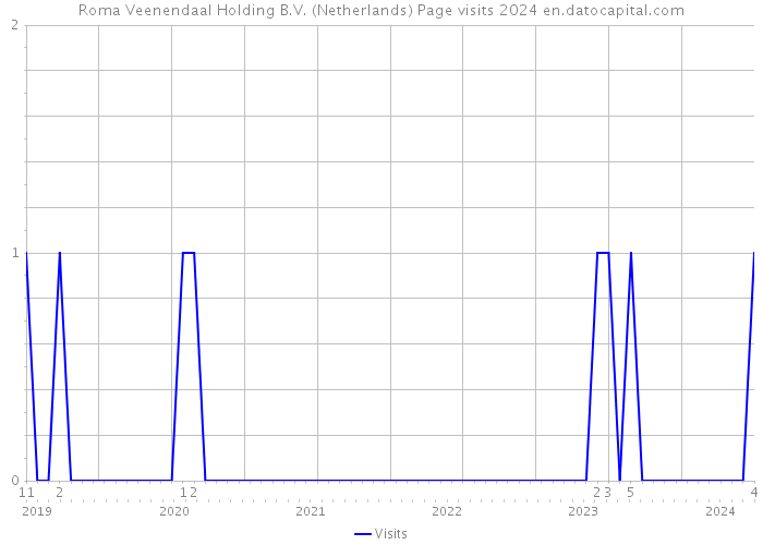 Roma Veenendaal Holding B.V. (Netherlands) Page visits 2024 
