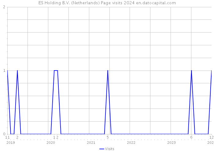 ES Holding B.V. (Netherlands) Page visits 2024 
