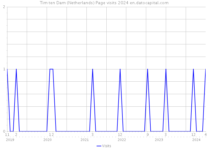 Tim ten Dam (Netherlands) Page visits 2024 