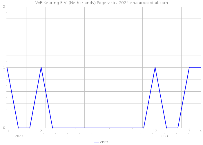 VvE Keuring B.V. (Netherlands) Page visits 2024 