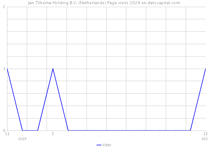 Jan Tilkema Holding B.V. (Netherlands) Page visits 2024 