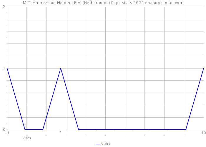 M.T. Ammerlaan Holding B.V. (Netherlands) Page visits 2024 