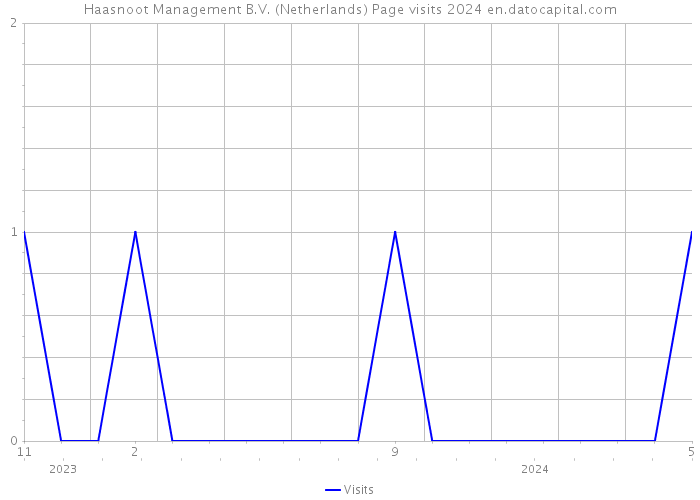 Haasnoot Management B.V. (Netherlands) Page visits 2024 