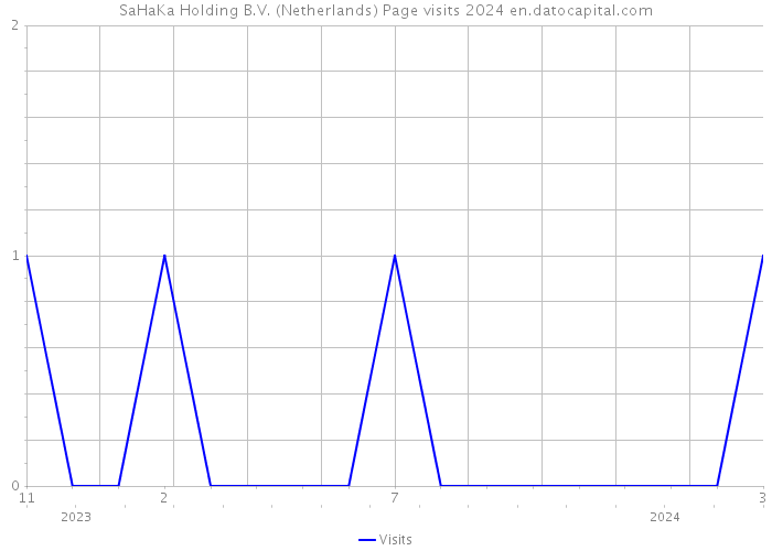 SaHaKa Holding B.V. (Netherlands) Page visits 2024 