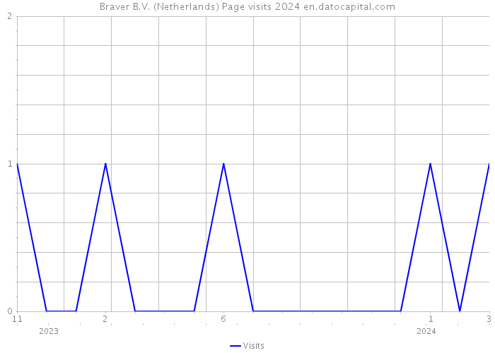 Braver B.V. (Netherlands) Page visits 2024 