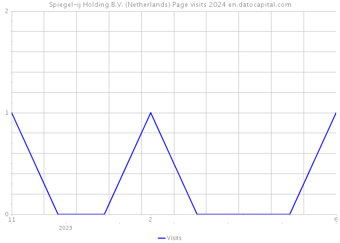 Spiegel-ij Holding B.V. (Netherlands) Page visits 2024 