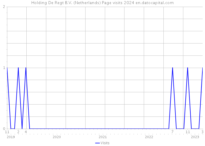 Holding De Regt B.V. (Netherlands) Page visits 2024 
