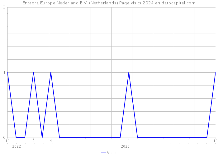 Entegra Europe Nederland B.V. (Netherlands) Page visits 2024 