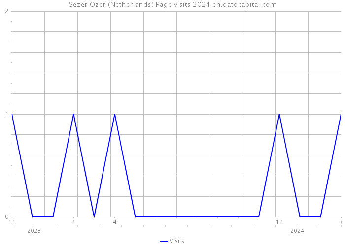 Sezer Özer (Netherlands) Page visits 2024 