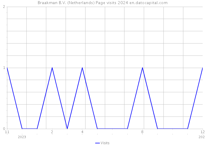 Braakman B.V. (Netherlands) Page visits 2024 
