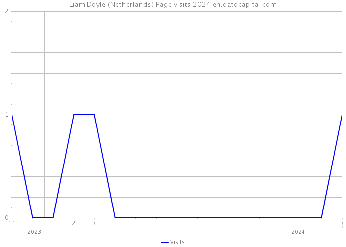 Liam Doyle (Netherlands) Page visits 2024 