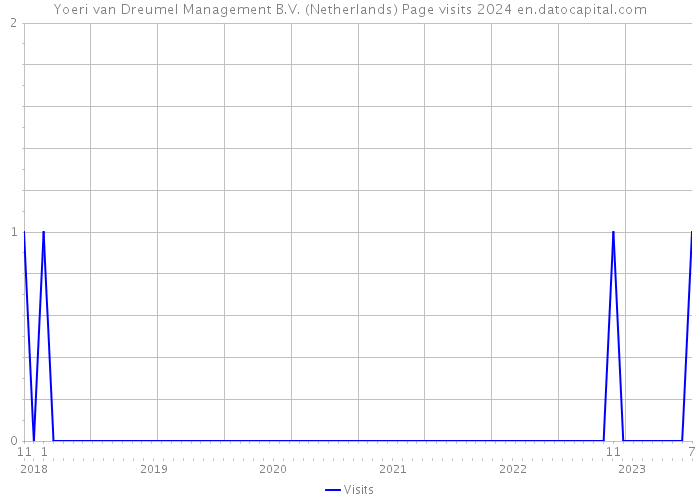 Yoeri van Dreumel Management B.V. (Netherlands) Page visits 2024 