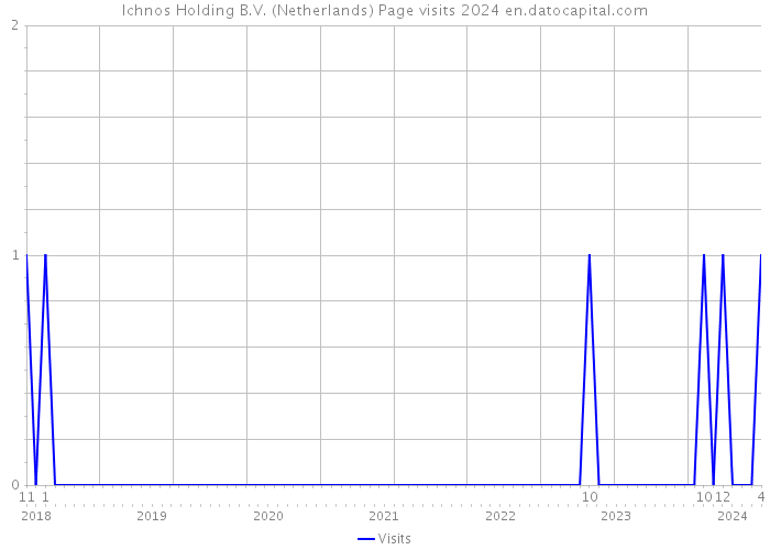 Ichnos Holding B.V. (Netherlands) Page visits 2024 