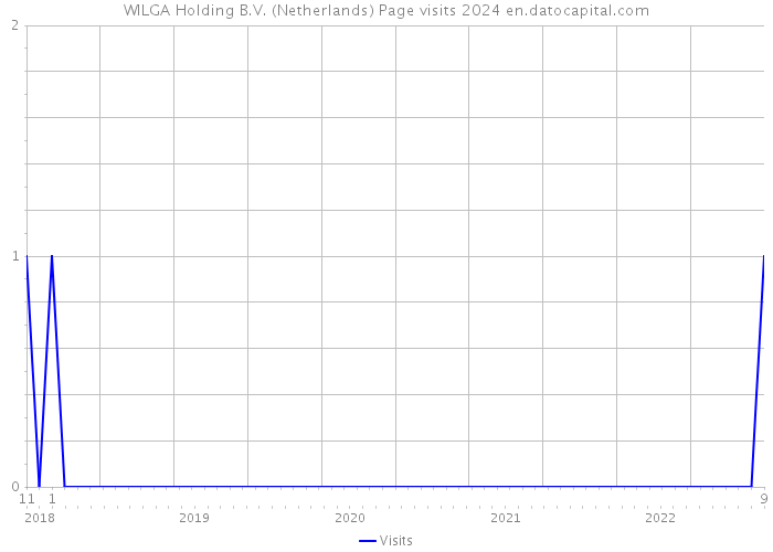 WILGA Holding B.V. (Netherlands) Page visits 2024 