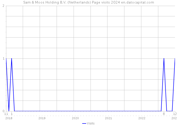 Sam & Moos Holding B.V. (Netherlands) Page visits 2024 