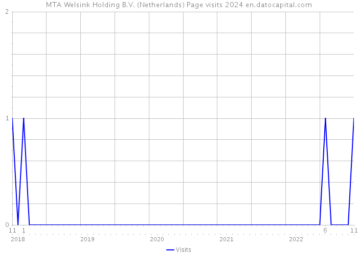 MTA Welsink Holding B.V. (Netherlands) Page visits 2024 
