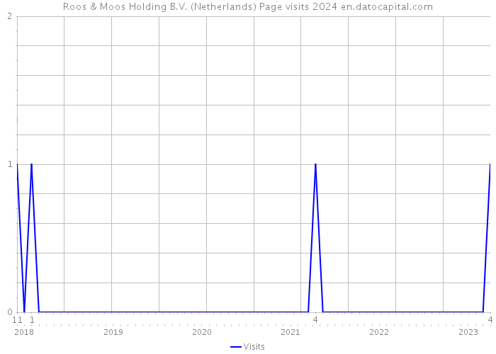 Roos & Moos Holding B.V. (Netherlands) Page visits 2024 