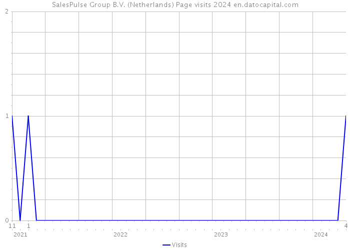 SalesPulse Group B.V. (Netherlands) Page visits 2024 