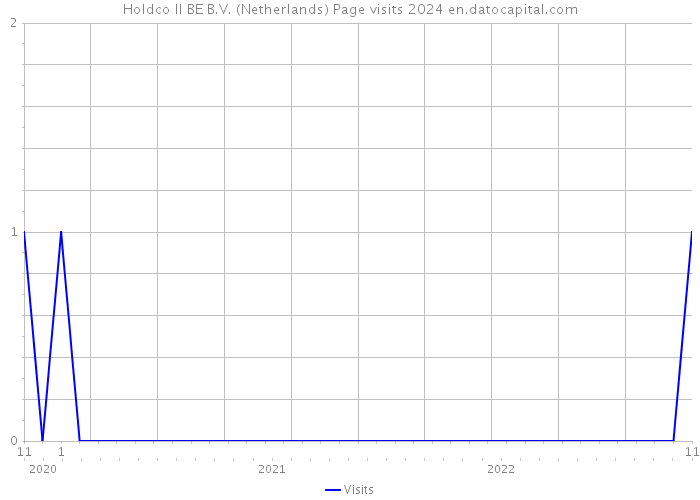 Holdco II BE B.V. (Netherlands) Page visits 2024 