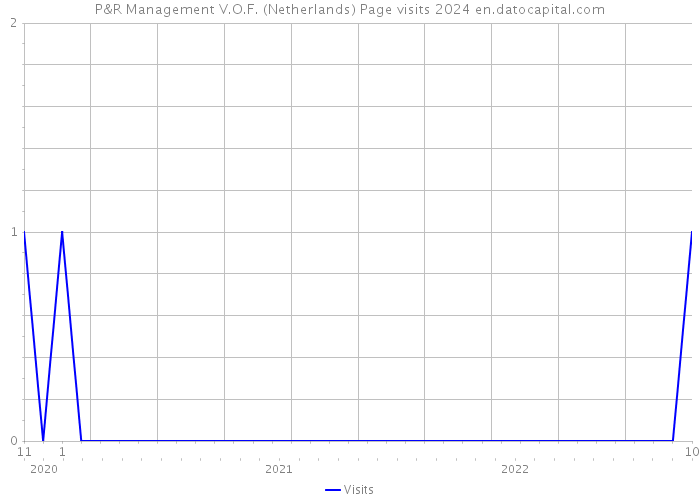 P&R Management V.O.F. (Netherlands) Page visits 2024 