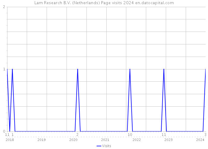 Lam Research B.V. (Netherlands) Page visits 2024 