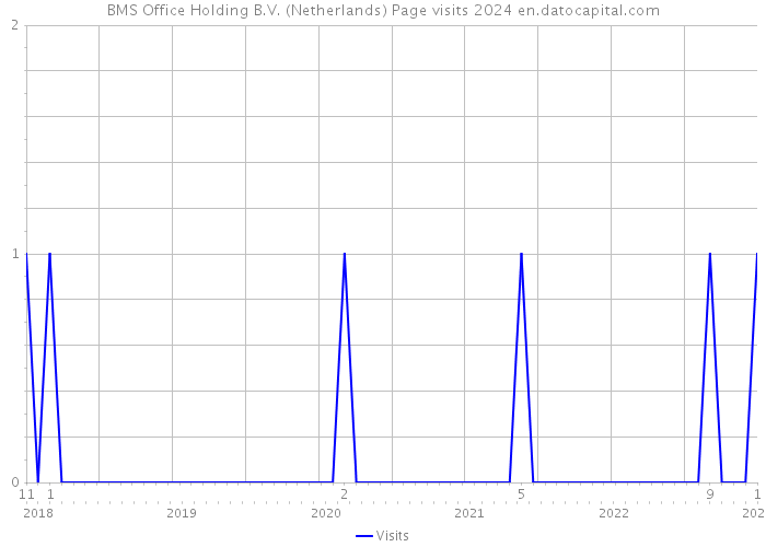 BMS Office Holding B.V. (Netherlands) Page visits 2024 