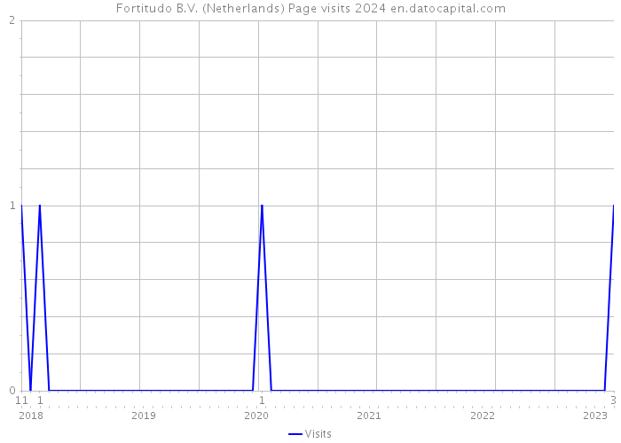 Fortitudo B.V. (Netherlands) Page visits 2024 