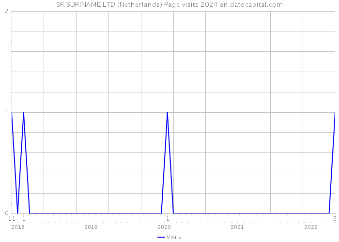 SR SURINAME LTD (Netherlands) Page visits 2024 
