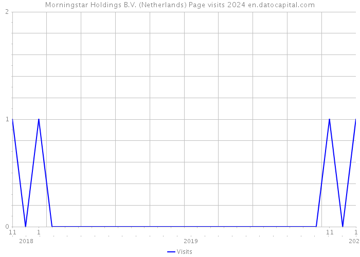 Morningstar Holdings B.V. (Netherlands) Page visits 2024 