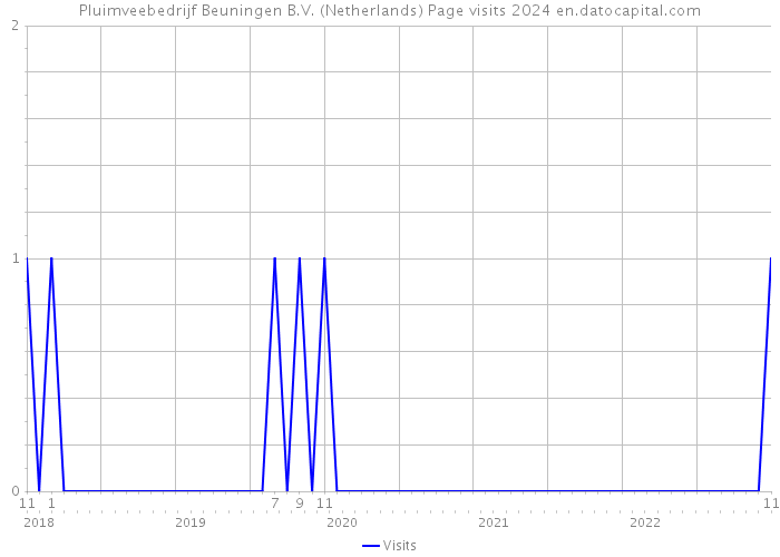Pluimveebedrijf Beuningen B.V. (Netherlands) Page visits 2024 