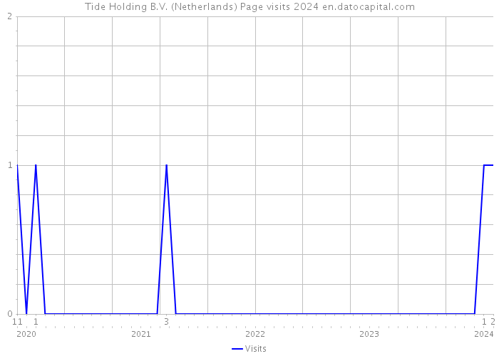 Tide Holding B.V. (Netherlands) Page visits 2024 