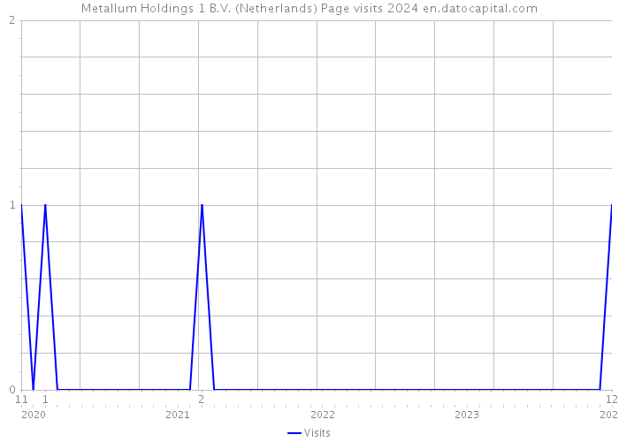 Metallum Holdings 1 B.V. (Netherlands) Page visits 2024 