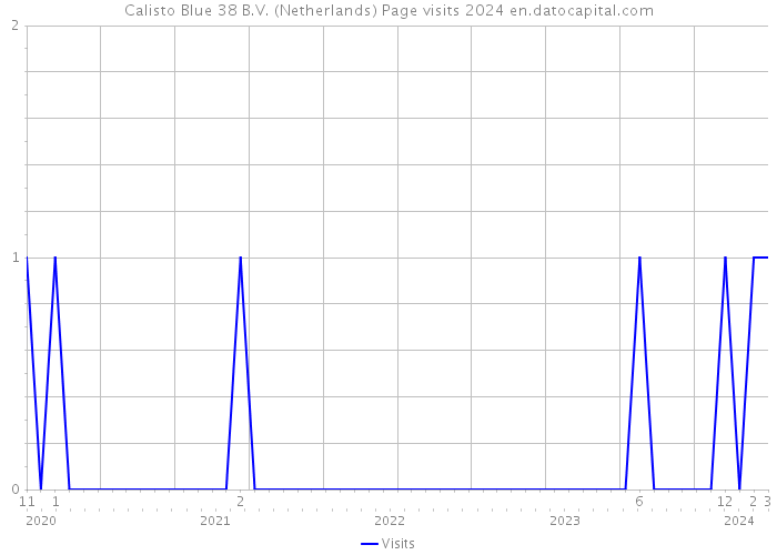 Calisto Blue 38 B.V. (Netherlands) Page visits 2024 