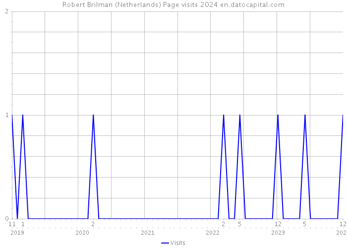 Robert Brilman (Netherlands) Page visits 2024 