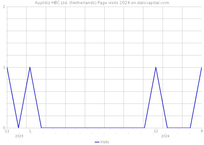 Ayyildiz HBC Ltd. (Netherlands) Page visits 2024 
