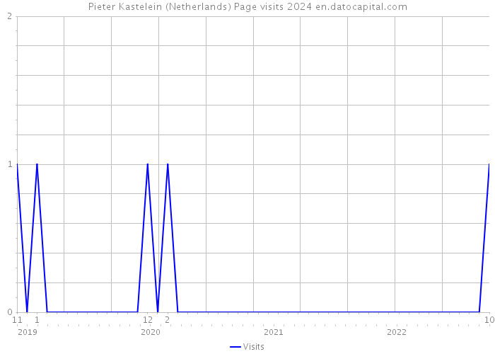 Pieter Kastelein (Netherlands) Page visits 2024 