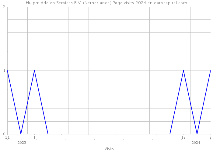 Hulpmiddelen Services B.V. (Netherlands) Page visits 2024 