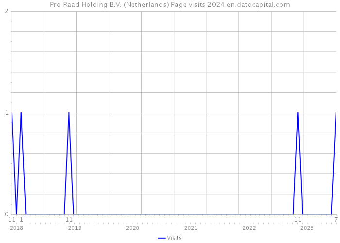 Pro Raad Holding B.V. (Netherlands) Page visits 2024 