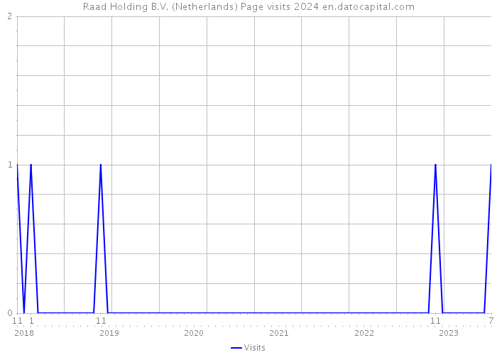 Raad Holding B.V. (Netherlands) Page visits 2024 