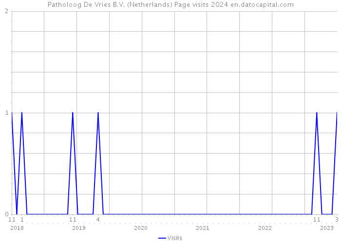 Patholoog De Vries B.V. (Netherlands) Page visits 2024 