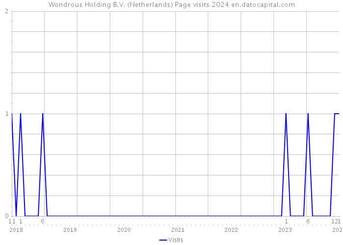 Wondrous Holding B.V. (Netherlands) Page visits 2024 