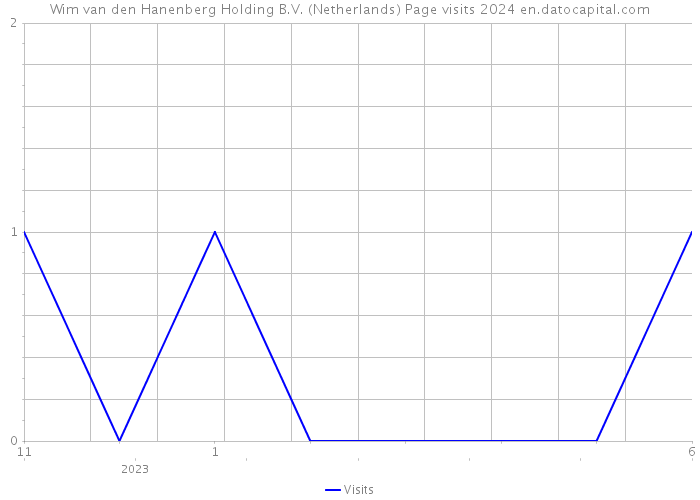 Wim van den Hanenberg Holding B.V. (Netherlands) Page visits 2024 