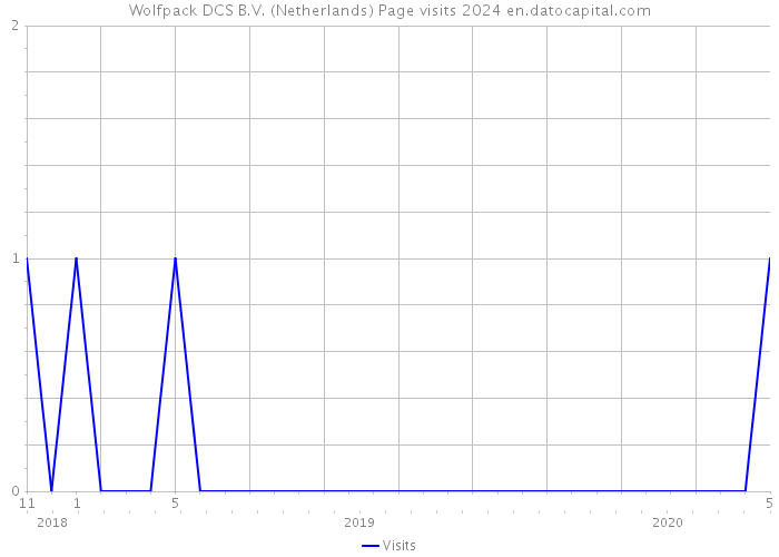 Wolfpack DCS B.V. (Netherlands) Page visits 2024 