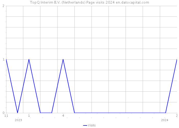 TopQ Interim B.V. (Netherlands) Page visits 2024 