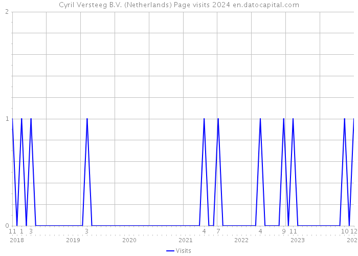 Cyril Versteeg B.V. (Netherlands) Page visits 2024 