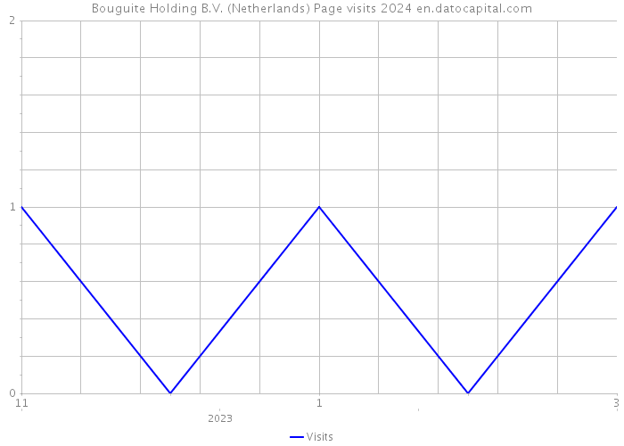 Bouguite Holding B.V. (Netherlands) Page visits 2024 