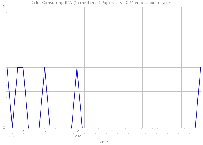 Delta Consulting B.V. (Netherlands) Page visits 2024 
