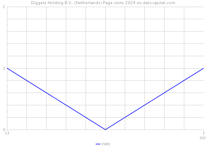 Diggele Holding B.V.. (Netherlands) Page visits 2024 